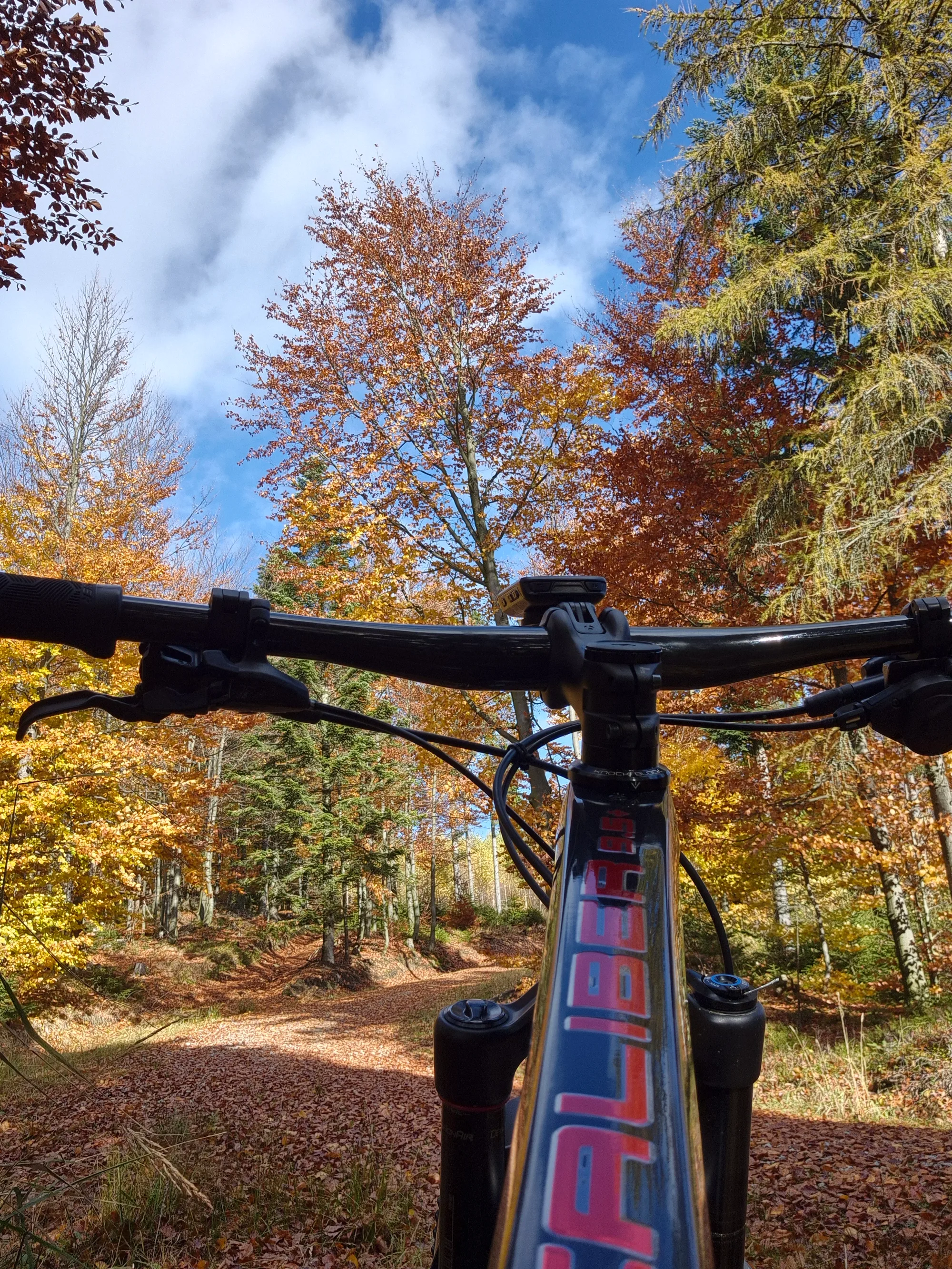 Mixed Canopy Break
