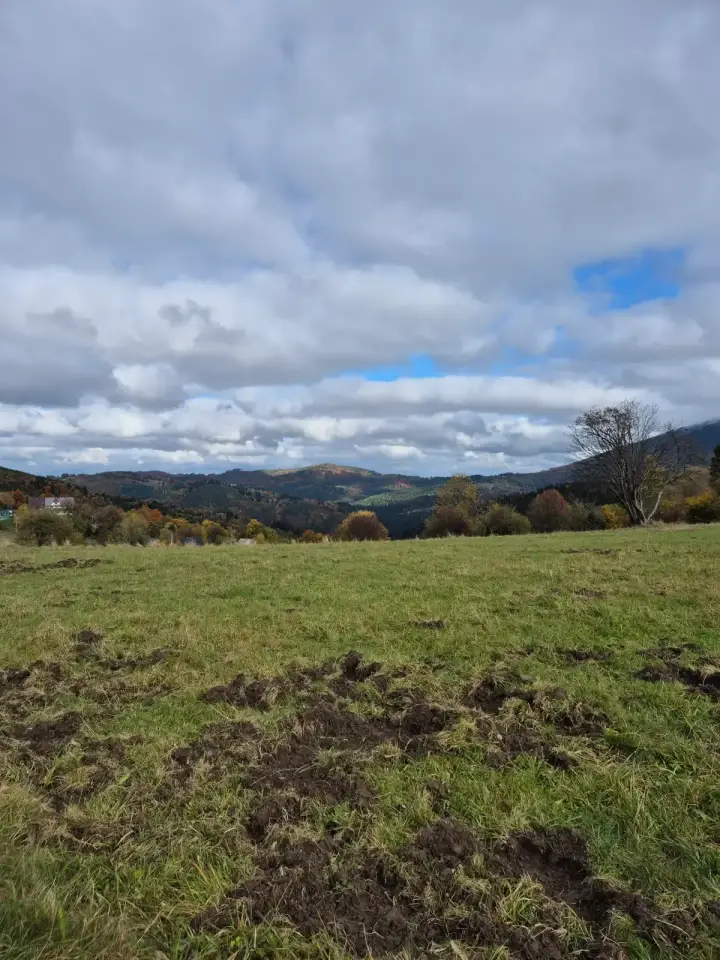 Pasture Scar and Ridge