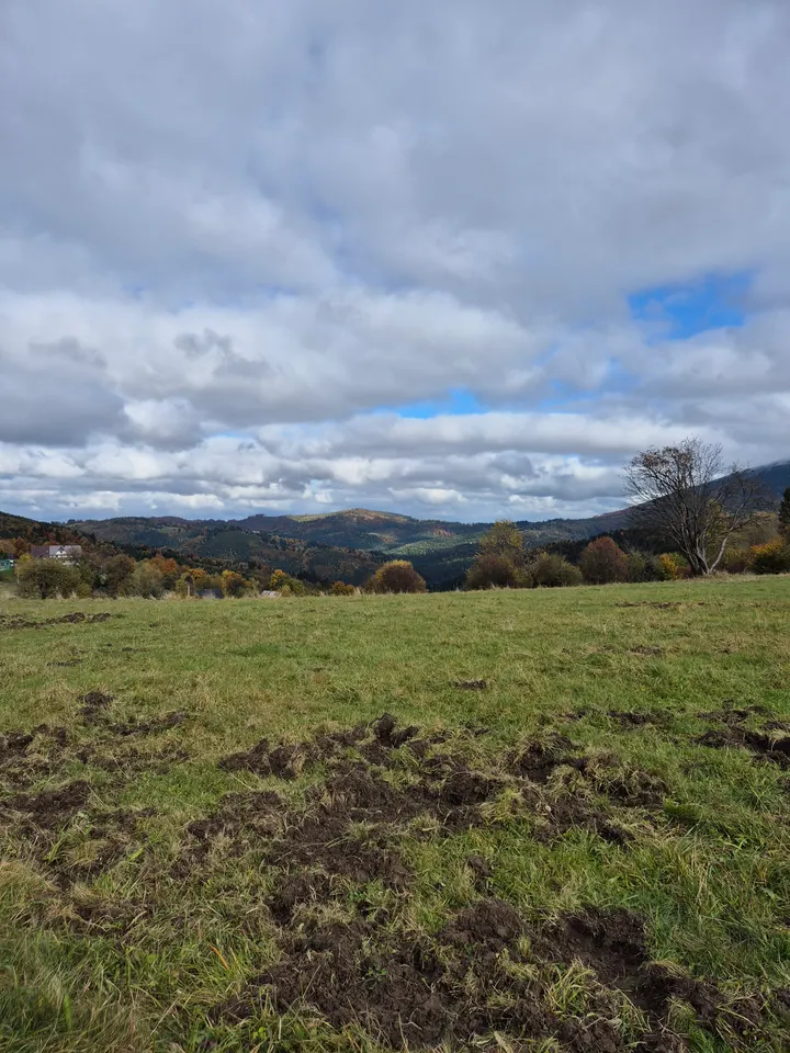 Pasture Scar and Ridge