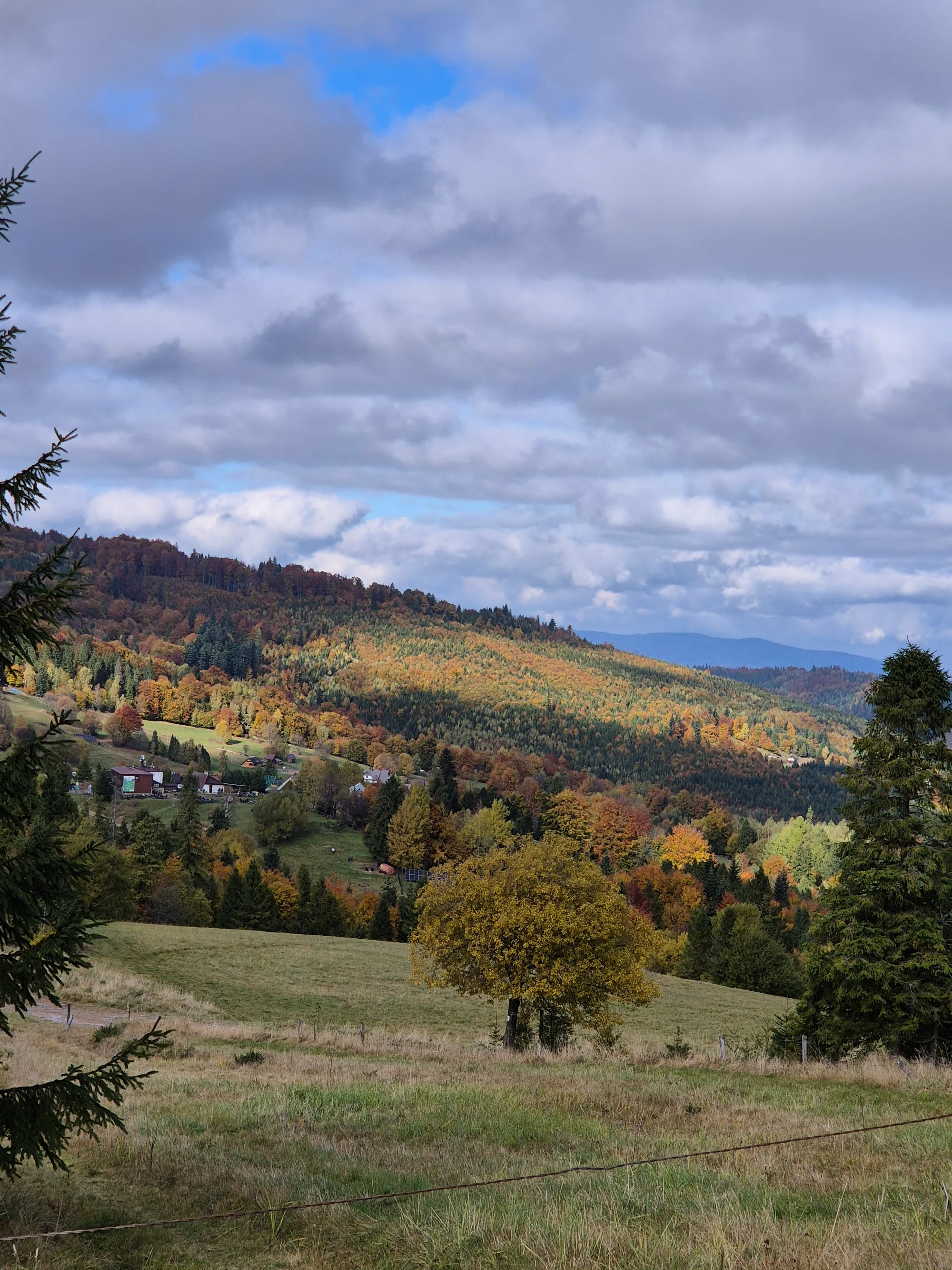 Spruce Gate to the Hills