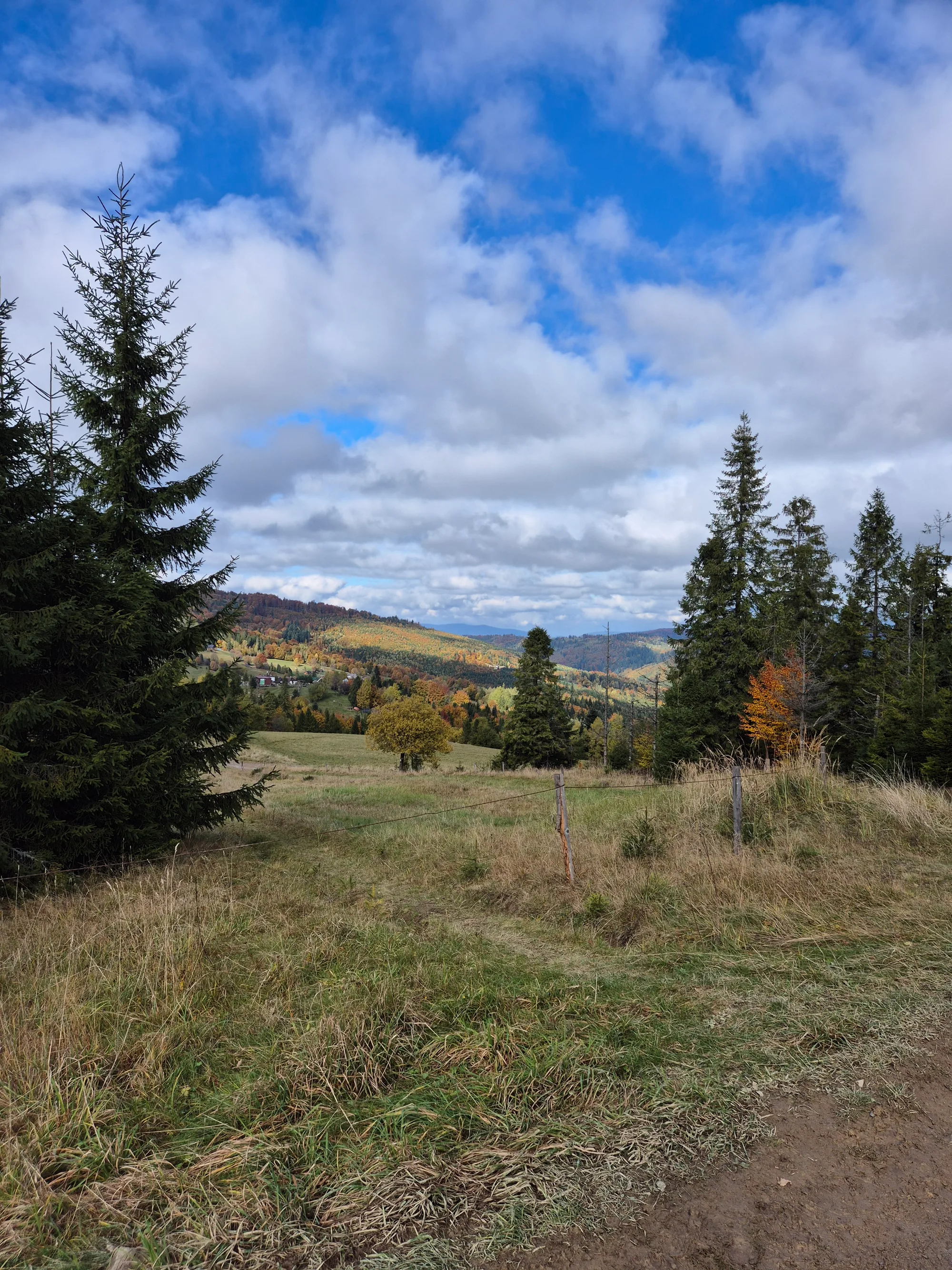Wire Fence, Autumn Hills
