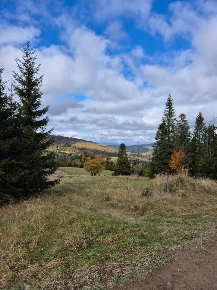 Wire Fence, Autumn Hills