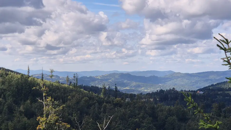 Spruce Edge to Hazy Blue Layers