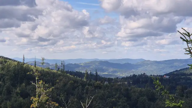 Spruce Edge to Hazy Blue Layers