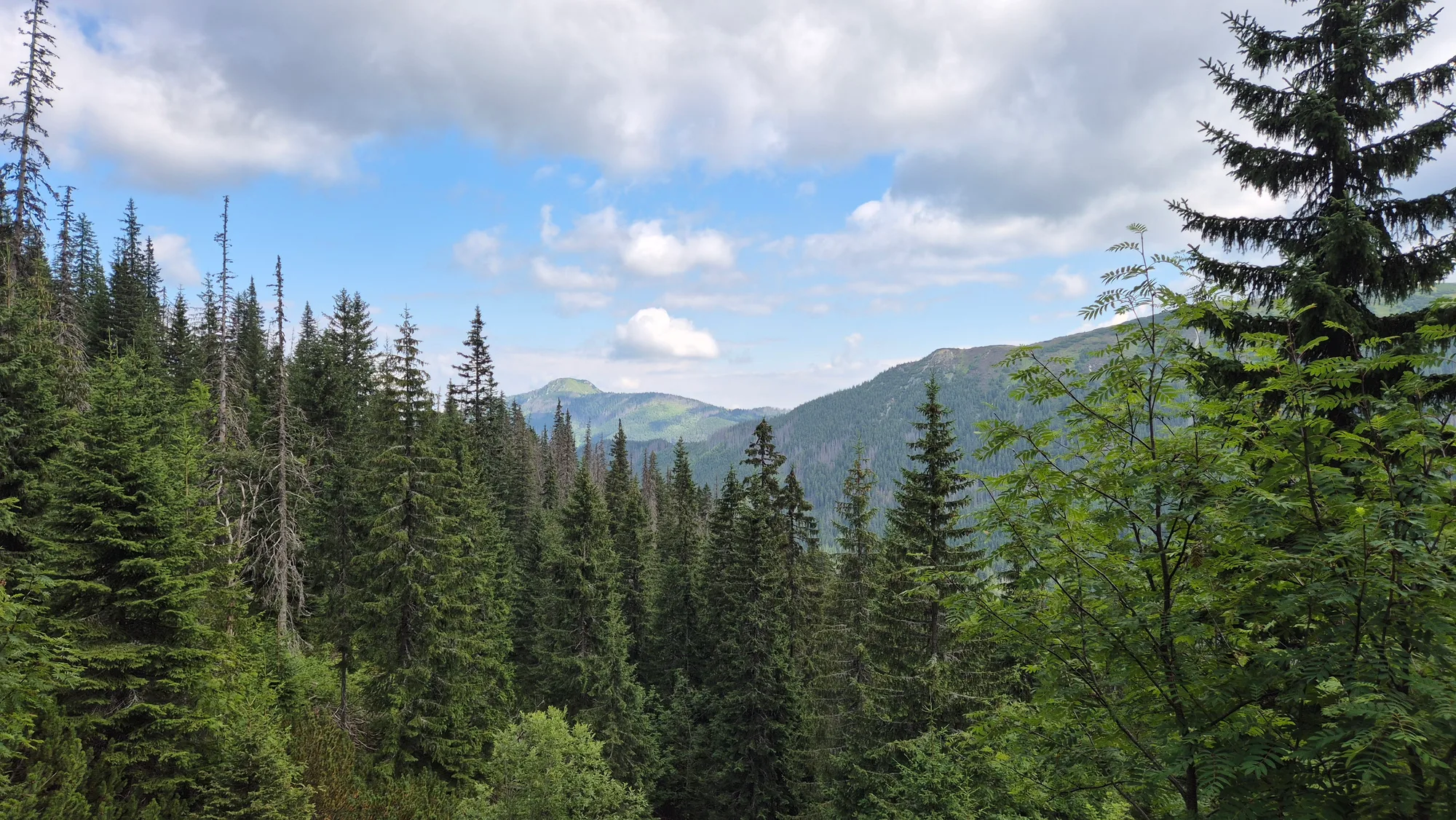 Dead Timber Gap