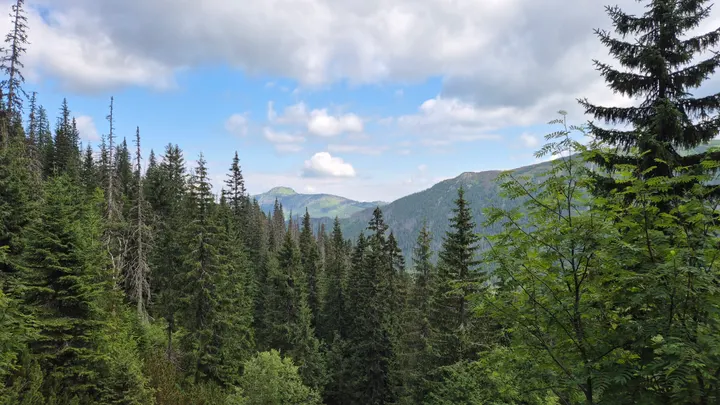 Dead Timber Gap