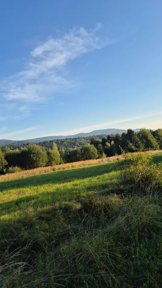 Golden Grass to Blue Ridges