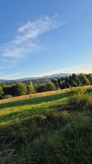 Golden Grass to Blue Ridges