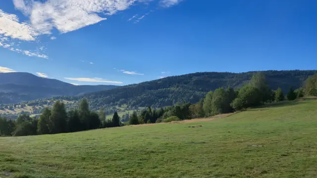 Green Meadow Under Thin Cloud