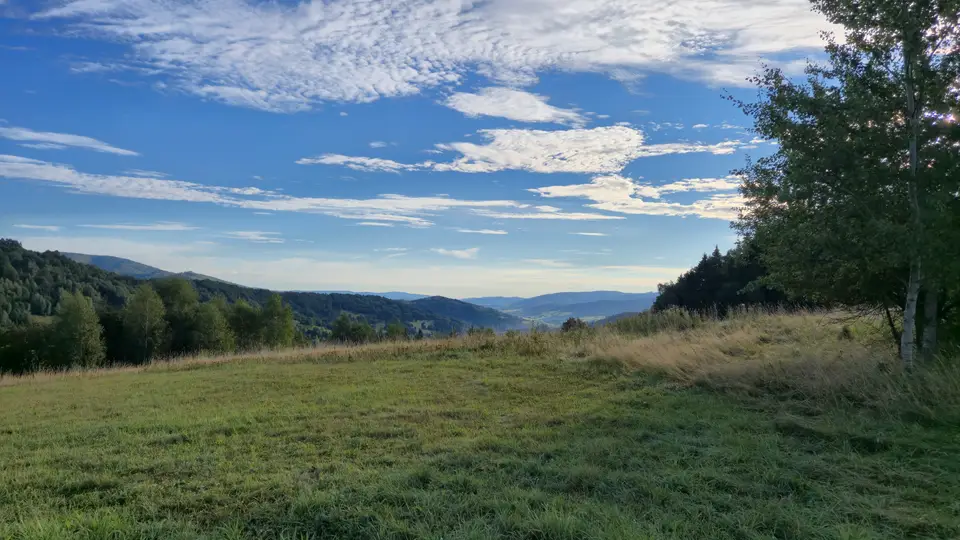 Meadow Framed Toward Blue Ridges