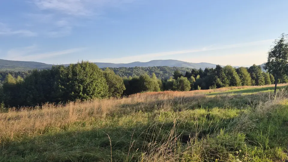 Meadow Shelf Toward the Range