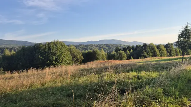 Meadow Shelf Toward the Range