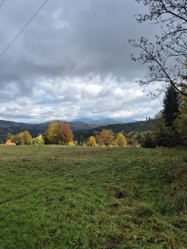 Meadow Under Grey Sky