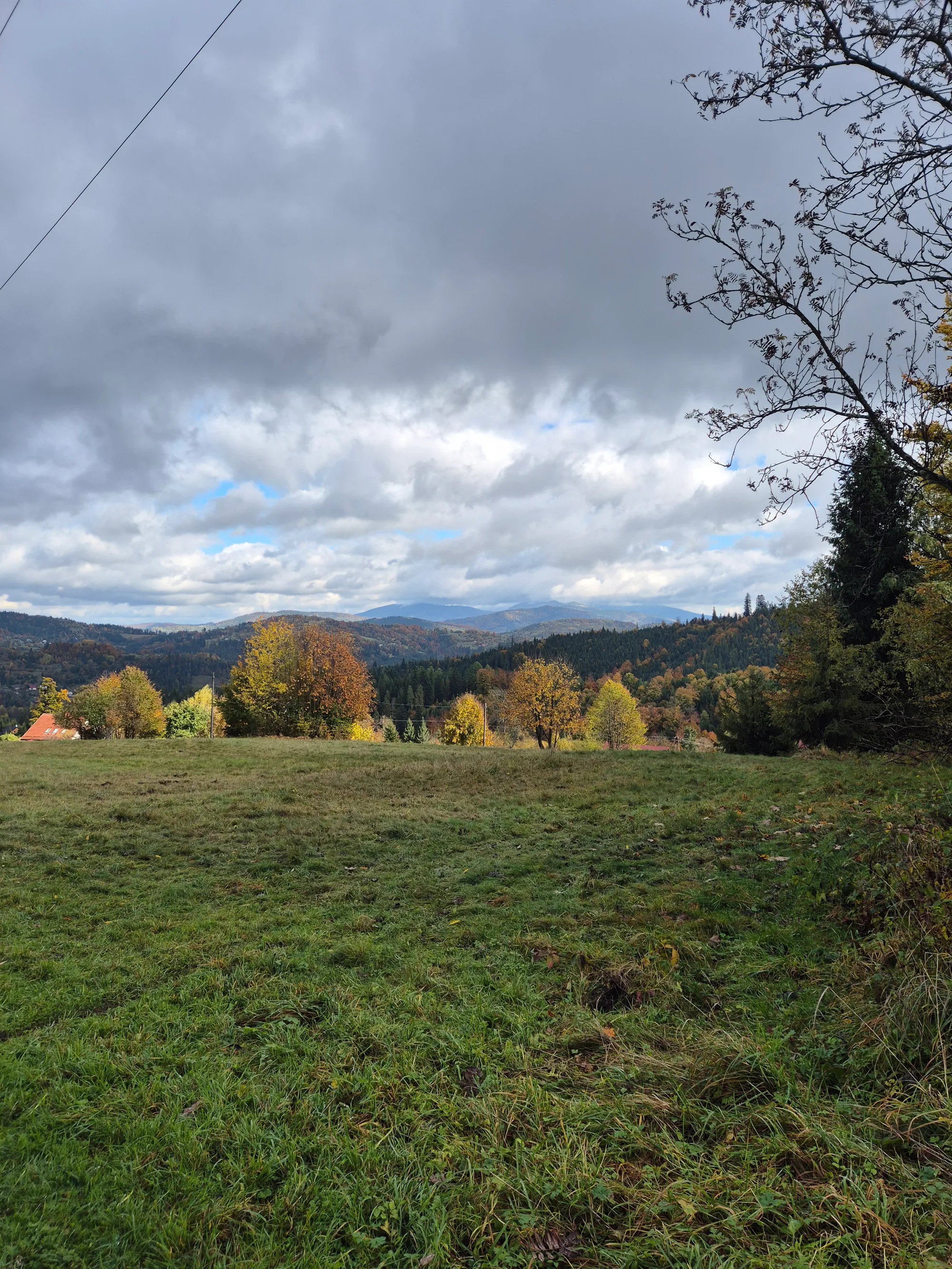 Meadow Under Grey Sky
