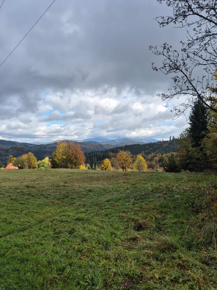 Meadow Under Grey Sky