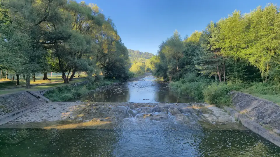 Stone Weir Through the Trees