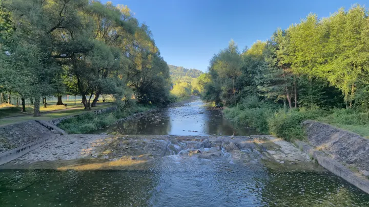 Stone Weir Through the Trees