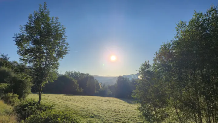 Sun Over the Green Meadow