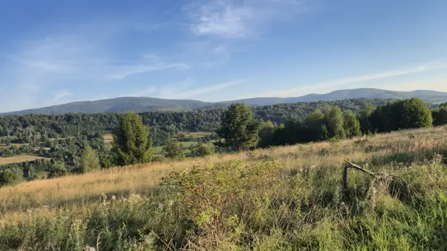 Red Berries Over the Valley