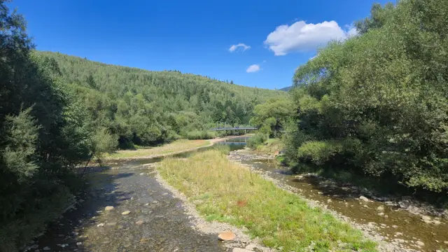 Blue Bridge Over the Shallows