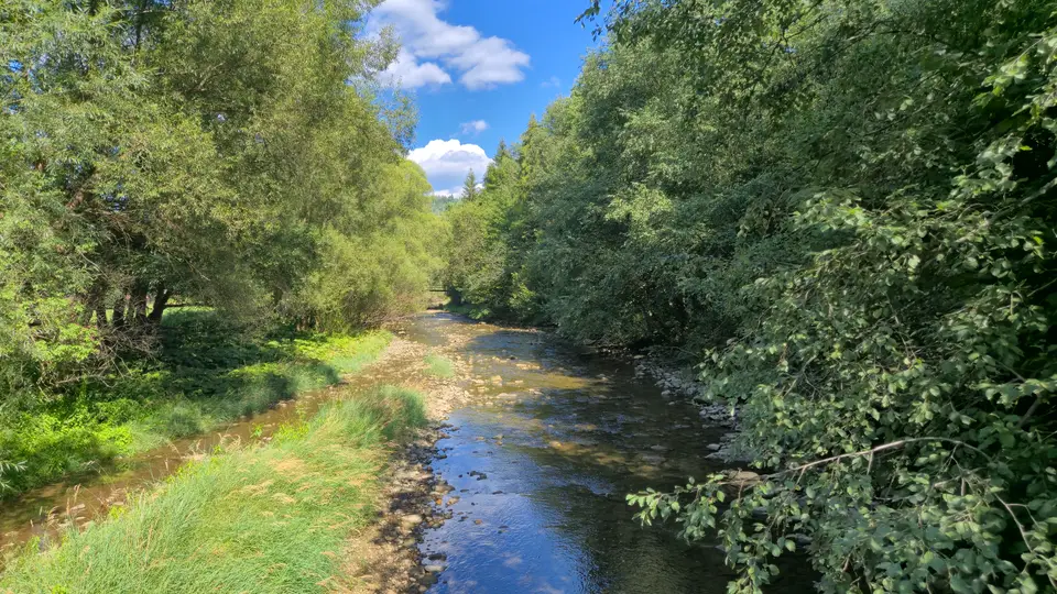 Green Tunnel Downriver