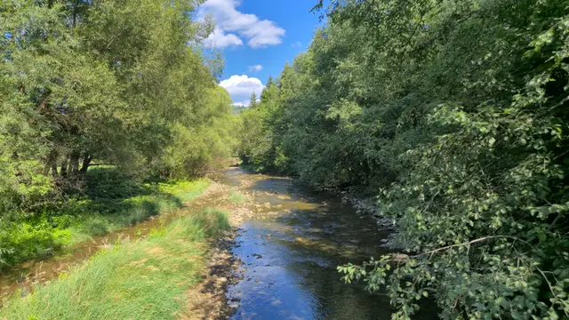 Green Tunnel Downriver