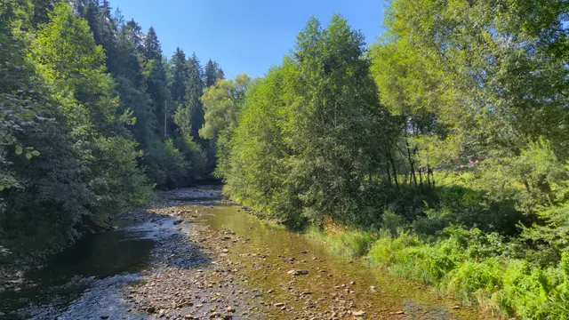 Mixed Bank and Rocky Bend