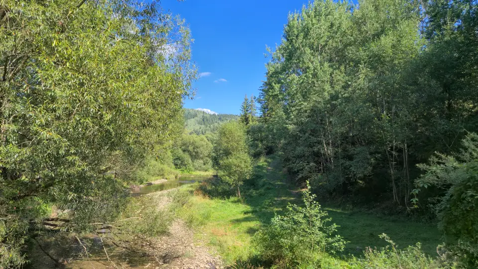 Riverside Grass to the Forested Hill
