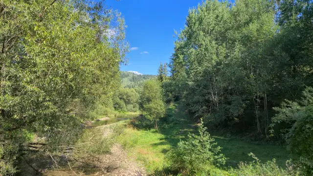 Riverside Grass to the Forested Hill