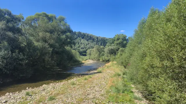 Shallow Bend and Wooded Hill