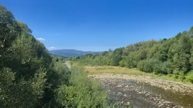 Stony Reach to the Blue Hills