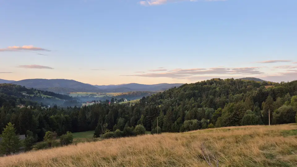 Golden Grass Over the Morning Valley
