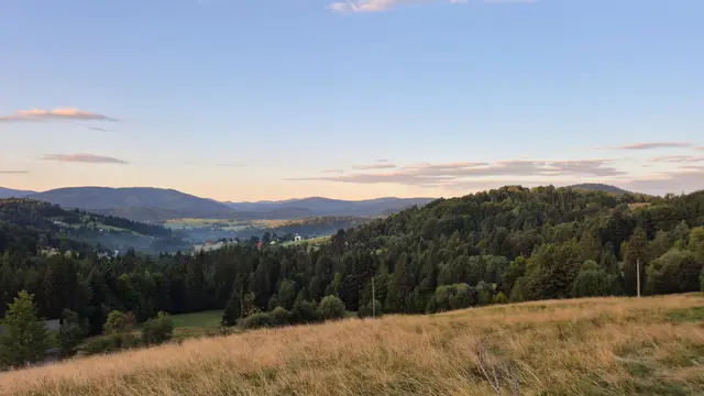 Golden Grass Over the Morning Valley