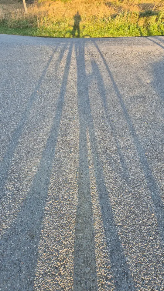 Long Shadows on the Asphalt