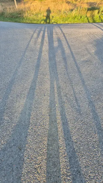 Long Shadows on the Asphalt