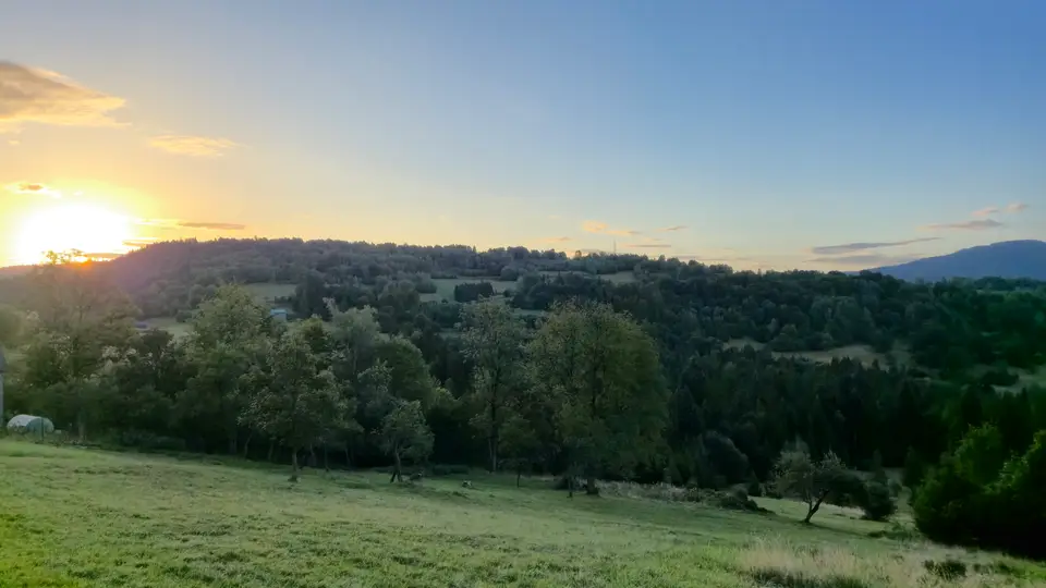 Sun Over the Forested Ridge