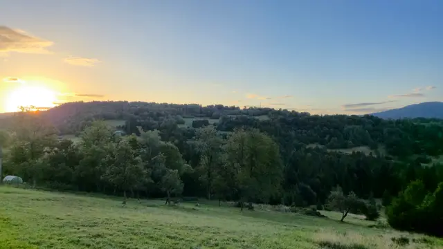 Sun Over the Forested Ridge