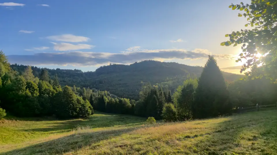 Sunlit Meadow Toward the Ridge
