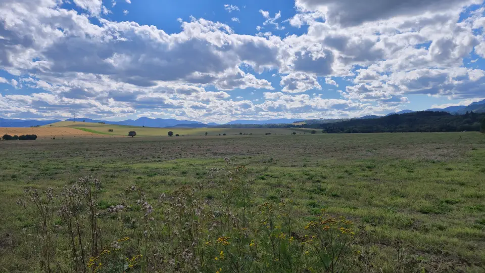 Cloud Shadows Across the Fields
