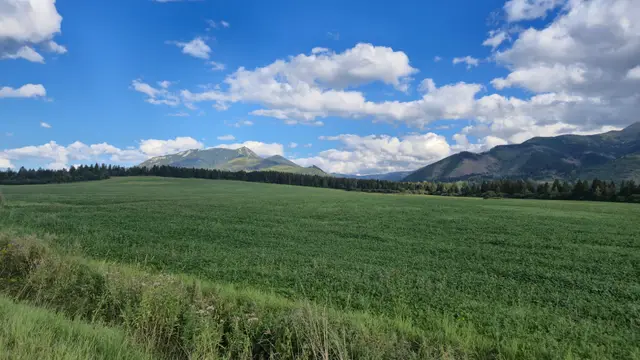 Clover Field Toward Rock Summit