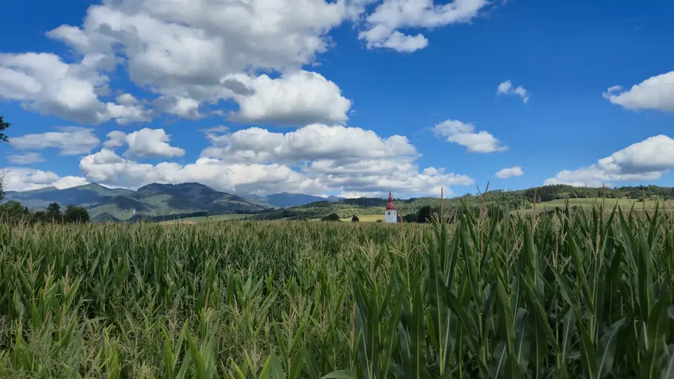 Cornfield Church and Ridges