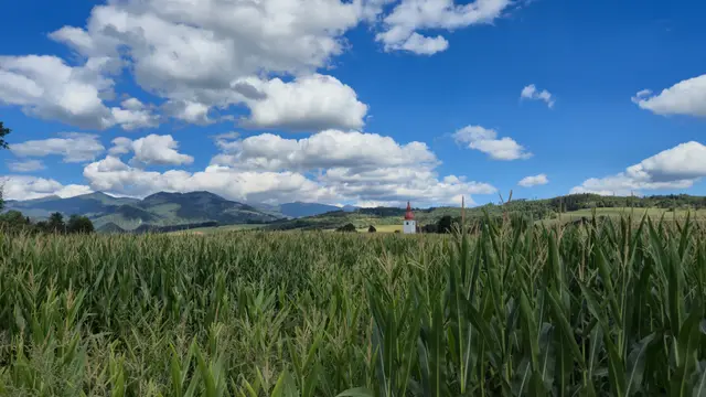 Cornfield Church and Ridges