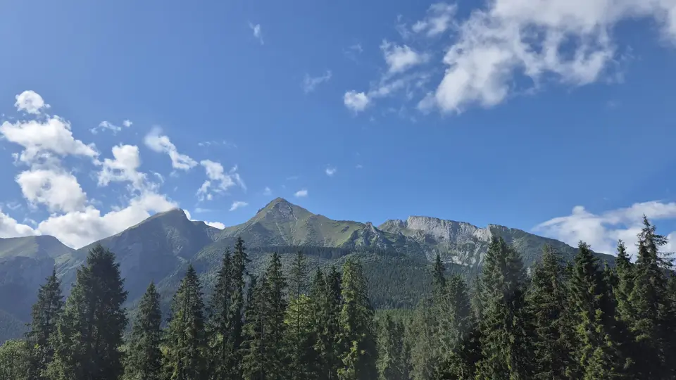 Craggy Ridge Above the Spruce