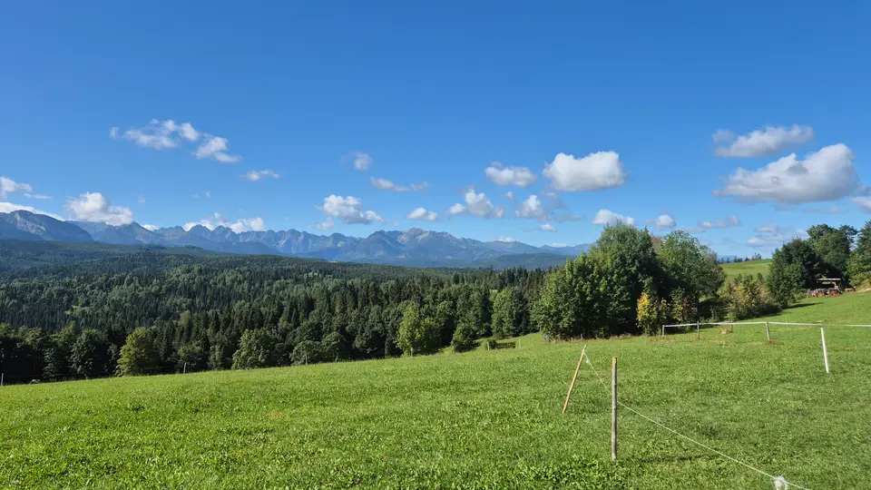 Fence Line to the Tatras