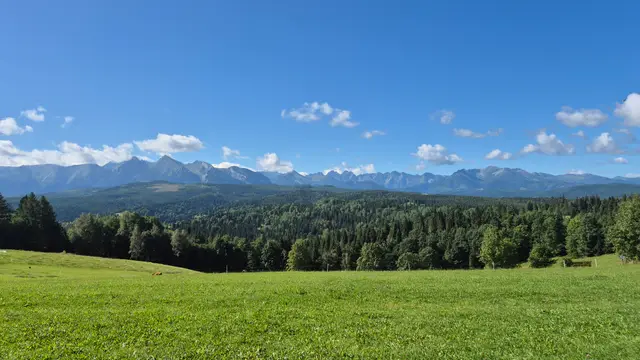 Green Pasture, Rocky Horizon