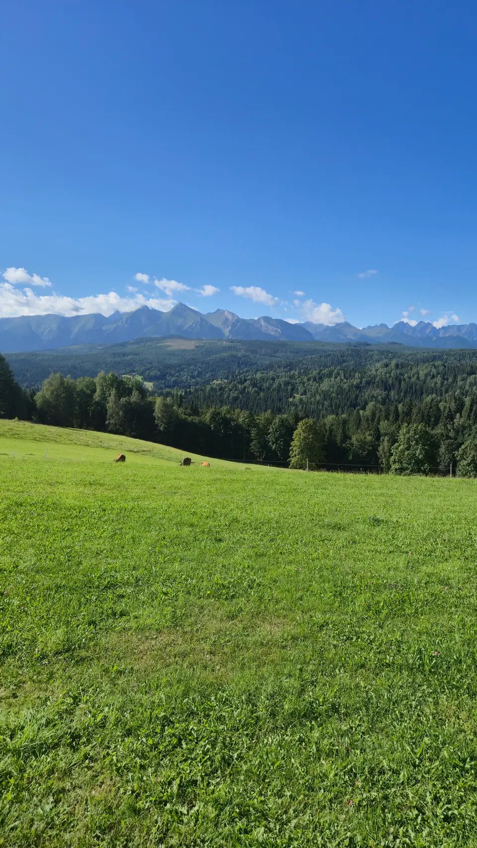 Meadow and Cloud-Lined Peaks