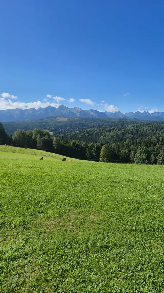 Meadow and Cloud-Lined Peaks