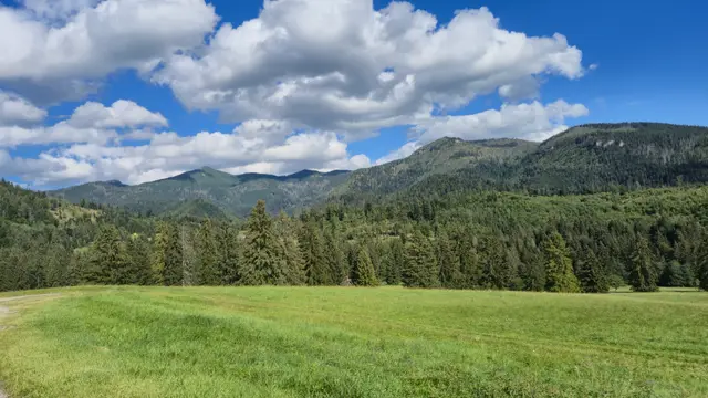Meadow Before Forested Hills