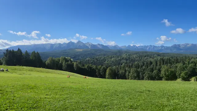 Pasture Toward the High Tatras