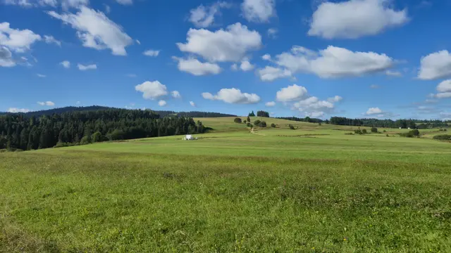 Rolling Meadow Under Cumulus
